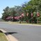 Cemetery on Memorial weekend