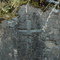 Gunflint Cross