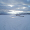 Gunflint Winter Dog Sled Scene