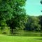 Shelby Forest Park.