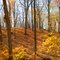 Fall in Faribault