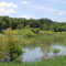 Lavonia Park, Lavon Lake, Lavon, TX