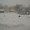 prior lake (feb 2007)- school day canceled!