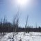 winter afternoon @ Mille Lacs Kathio State Park