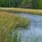 Rum River looking upstream, Mille Lacs Kathio State Park, Onamia, Minnesota