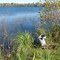 Cedar Lake