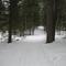 Soaring Eagle Trails