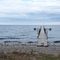 Mille Lacs Lake