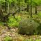 Boulder, Mille Lacs Kathio State Park, Onamia, Minnesota