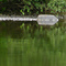 Reflections on the Rum River, Rum River North County Park, St. Francis, Minnesota