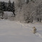 Christmass day