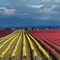 Cascade Color in Mount Vernon, Washington