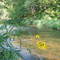 Kinnickinik River