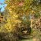 Oct 2006 - River Falls, Wisconsin. Kinnickinnic State Park fall trail.