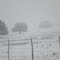 OPen field in Texas,,, in the winter of 2010