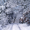 Rural Ozarks Winter-LeftEyeStories.com