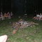 Devo area by creek ready for GHOSTS!