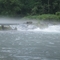 Water Fall at Bennett Spring State Park