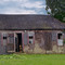 Dawg House