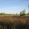 Nishnabotna Conservation Area