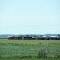 BNSF