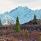 Matanuska Glacier, October 1994