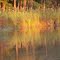 Autumn at Golden Pond