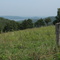 Rolling hills