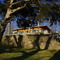 Trees & Nature Center