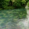 Downstream from Big Springs