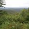 View of Ozarks from Skyline Drive, Carter County, MO.