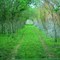 Tunnell road