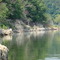 Beaver Shoreline