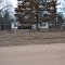 3 deer on Stonington Road