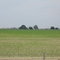 Central Valley Farm House