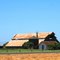 California Farm, Dos Palos, CA