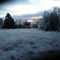 Ice Storm 2007