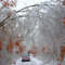 Ice Storm 2007