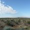 The Mojave Desert