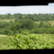 Ozark Countryside