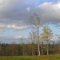 Near Centerville, MO