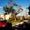 DAY AFTER WILMA