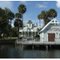 The Palmettos
