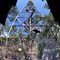Welaka Fire Tower