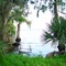 Lake George on the St Johns River, Florida  (4-20-2005)