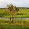 Bituri Creek