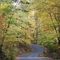 Otter Creek Park, Fall ' 08