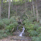Buttermilk Falls near Brandenburg, KY