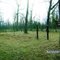 Withers Cemetery #75