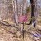 Unnamed Cemetery #117